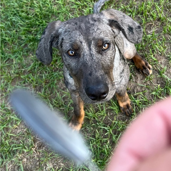 Welcome to Second Chance Alley! I know you will enjoy my fun and funky closet. - Picture 2 of 16